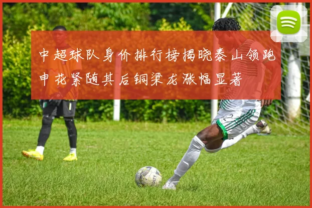 中超球队身价排行榜揭晓泰山领跑申花紧随其后铜梁龙涨幅显著