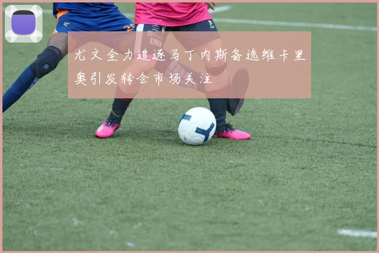 尤文全力追逐马丁内斯备选维卡里奥引发转会市场关注